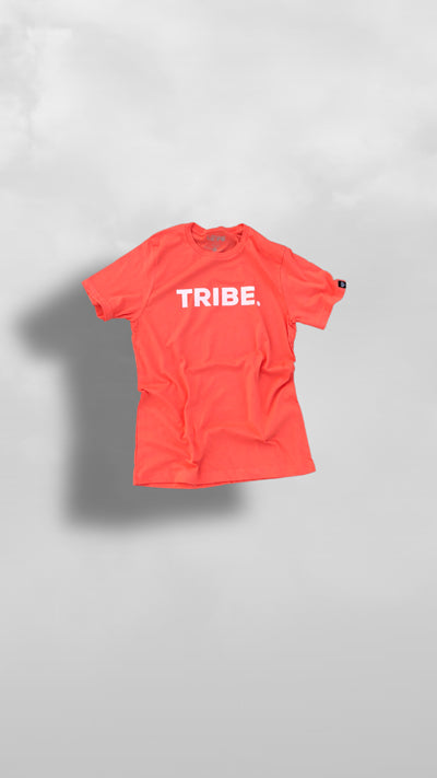 "Anikulapo" Salmon Tribe Tee - Afro Soca Love Supply